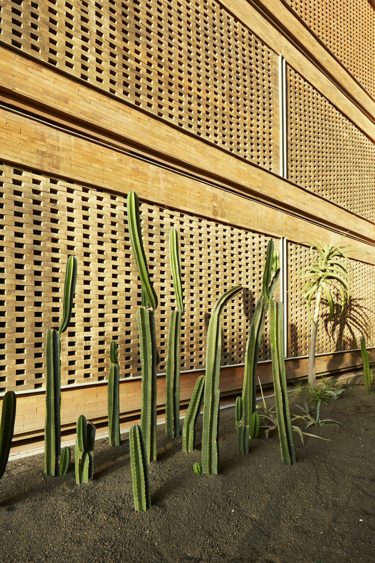 Katamama Suites At Desa Potato Head Seminyak Exterior foto